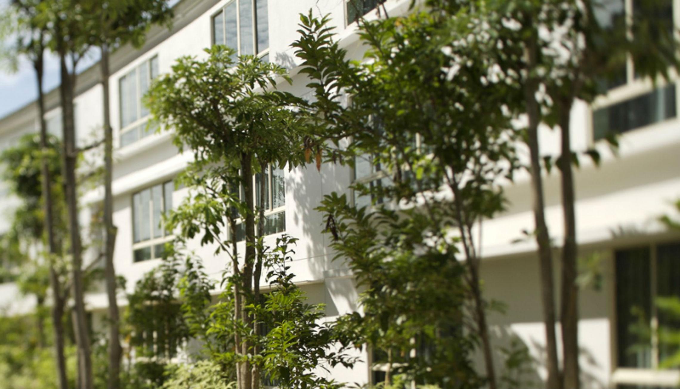 Amara Sanctuary Resort Sentosa Singapur Exteriér fotografie
